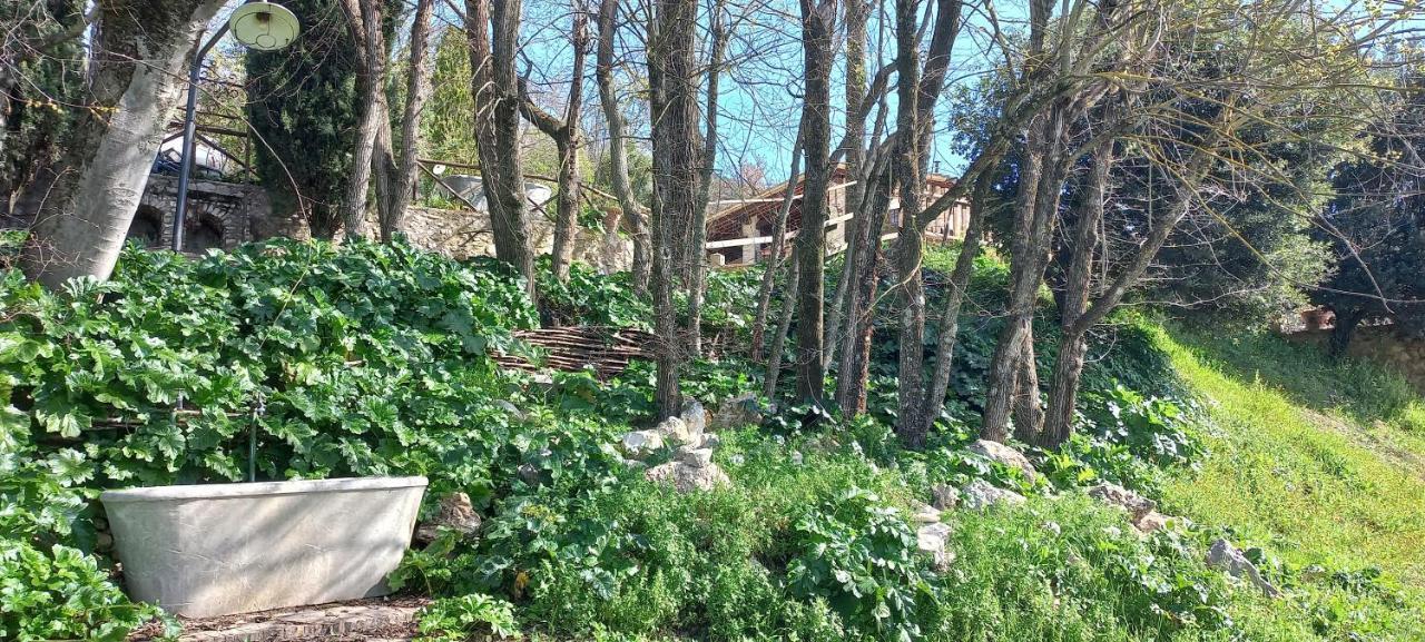 Domus Antiqua Bed & Breakfast Spello Exterior foto